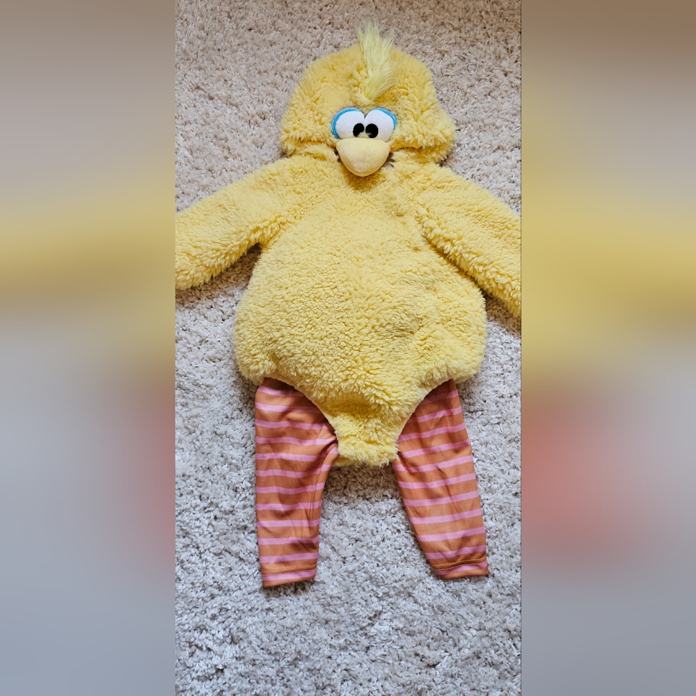 Pottery Barn Kids Big Bird Costume. Never Worn But Removed Tags